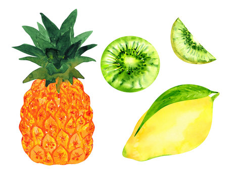 Colorful watercolor set of tropical fruits isolated on a white background: ripe pineapple, bright yellow mango, juicy pulp of kiwi fruit.