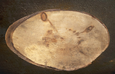Fototapeta premium old plank oval plank on a dark background, blackboard, empty space