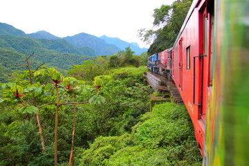 Train in the Atlantic Rainforest Brazil 