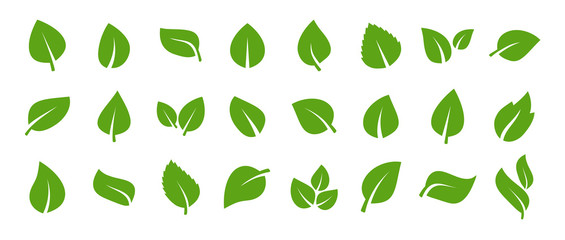 Set of green leaf icons. Green color. Leafs green color icon logo. Leaves on white background. Ecology. Vector illustration. - obrazy, fototapety, plakaty