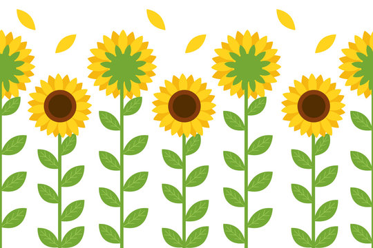 The seamless pattern of cute sunflower on the white background. The front of sunflower and back of sunflower on the white background. The cute sunflower in flat vector style.