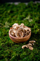 Bowl with dried mushroom on green grass russian cuisine side