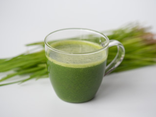 Wheatgrass shot. Fresh juice from wheat grass. Trend of health