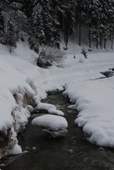 Strumyk zimą © Dariusz Dziuda