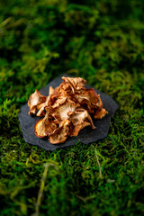 Board with dried chanterelles mushroom on green grass russian cuisine