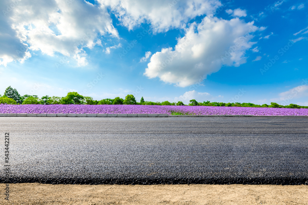 Wall mural Empty asphalt road and purple lavender field on a sunny day.