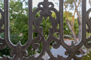 wrought iron fence with plant