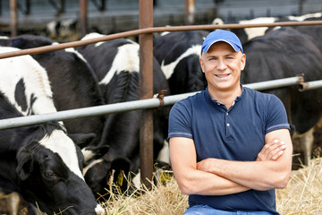 man farmer on farm with dairy cow