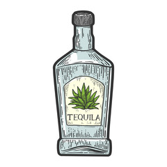 Tequila bottle mexican alcohol color sketch engraving vector illustration. T-shirt apparel print design. Scratch board imitation. Black and white hand drawn image.
