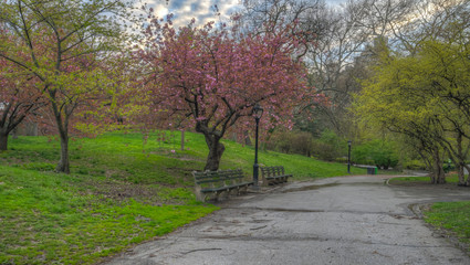 Central Park in spring