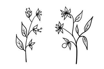 Vector flowers hand drawn sketch floral art