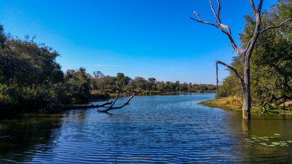 Blue and green contrast on Lake Panic, Kruger National Park, South Africa