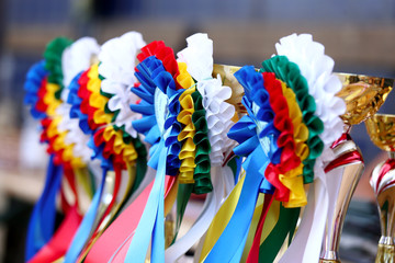 Awards waiting to be assigned after equitation event on racetrack