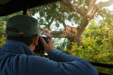 tourist photographs wild leopard during safari tour of Africa. © soft_light