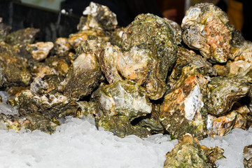Oyster pile for sale at the market