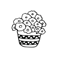 Cute hand drawn home plant on white background. Doodle vector illustration for design, greeting card, print, wedding.	
