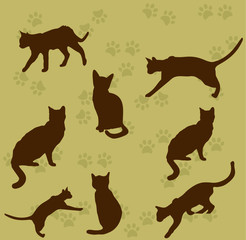 Silhouette of cat. Vector illustration. Cute pet. sitting cat, paw