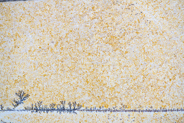 Detalle y vista cercana de una dendrita de pirolusita (dióxido de manganeso) sobre una losa de piedra