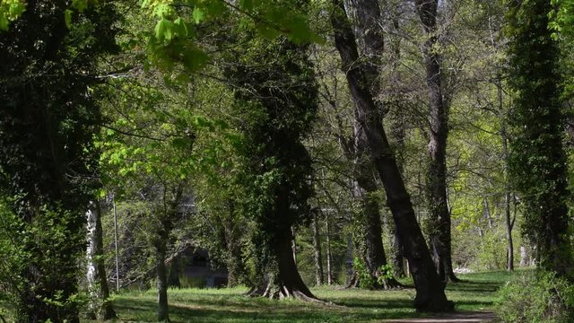 Spring Impressions from Citadel Park in Berlin Spandau from April 22, 2020, Germany