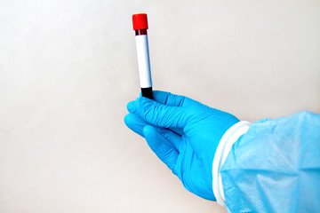 Hand in blue medical disposable rubber gloves holding test tube with red blood on gray background.