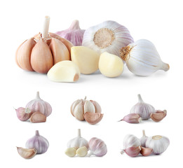 Set of fresh garlic on white background