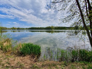 Fototapeta na wymiar See in Deutschland, natur, grün, himmel