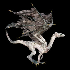 3D Rendering Fairy Tale Dragon on Black