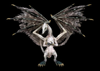 3D Rendering Fairy Tale Dragon on Black
