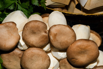 Mushrooms for sale. Local autumn produce