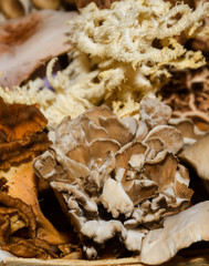 Mushrooms for sale. Local autumn produce
