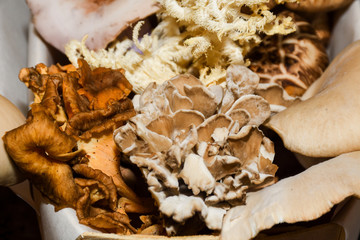 Mushrooms for sale. Local autumn produce