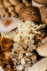 Mushrooms for sale. Local autumn produce