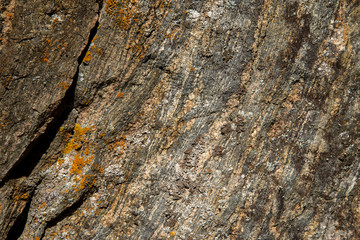 Ridge rock cliffs.Stone with lichen, close up, background.A rock formation on the climb of Stone Mountain.