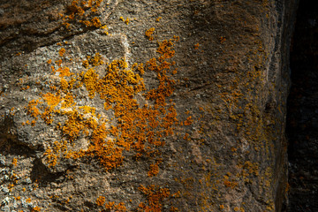 Ridge rock cliffs.Stone with lichen, close up, background.A rock formation on the climb of Stone Mountain.