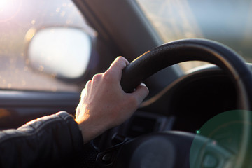 driving a car in summer, hand on the steering wheel.