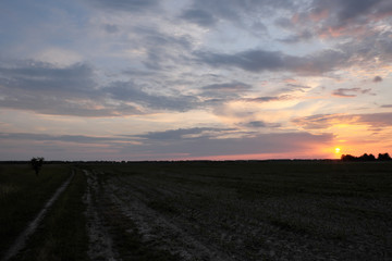 Beautiful sunset in the field. Cloudy sky. Landscape.