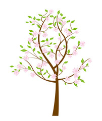 Spring flowering tree. 
Illustration of leafy flowering tree.Isolated on white background. Vector available.