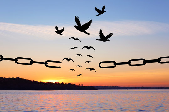 Freedom concept. Silhouettes of broken chain and birds flying over river at sunset