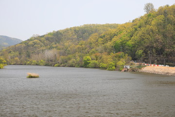 호수가 보이는 아름다운 풍경