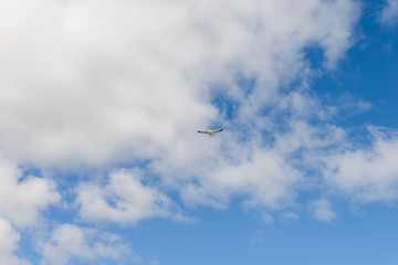 Fototapeta na wymiar One seagull flies in the blue sky with clouds