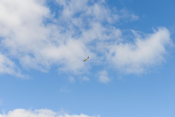 One seagull flies in the blue sky with clouds