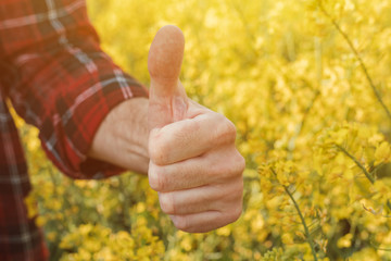 Rapeseed farmer gesturing thumbs up on cultivated field