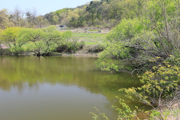 호수가 보이는 아름다운 풍경
