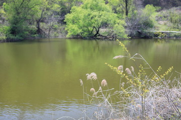 호수가 보이는 아름다운 풍경