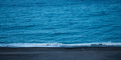 tropical sea beach scene, blue color of ocean