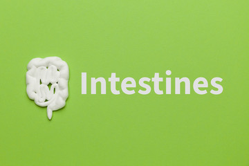 Treatment and prevention of intestines. Microflora and probiotics. Cartoon concept.