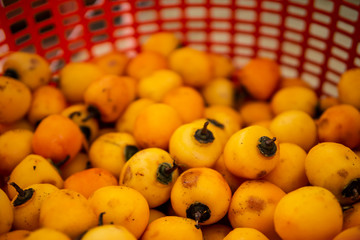 Japanese Dried Persimmon (Hoshigaki) hanged on strings to dry a common sight in Da Lat, Vietnam and placed in an airtight house. Good for health.