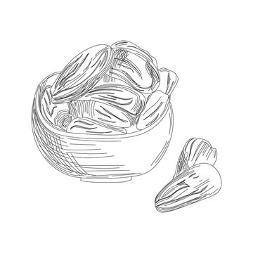 Black and white line art, date in plate sketches