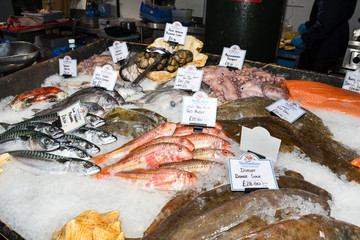 Fresh seafood on ice at the market