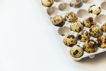 Quail eggs in cardboard packaging on white background. Top view